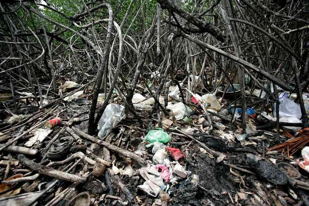 Plástico por Agua